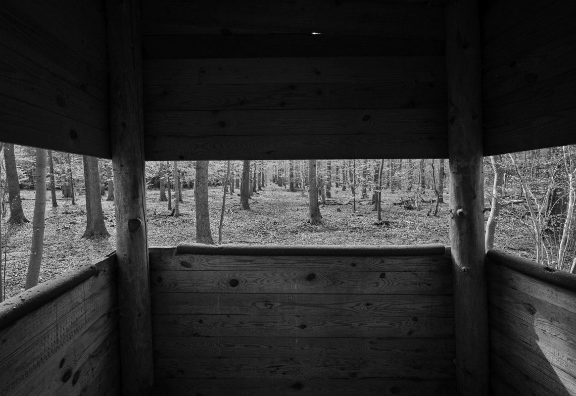 © Richard Barnes 2023 © Richard Barnes 2023