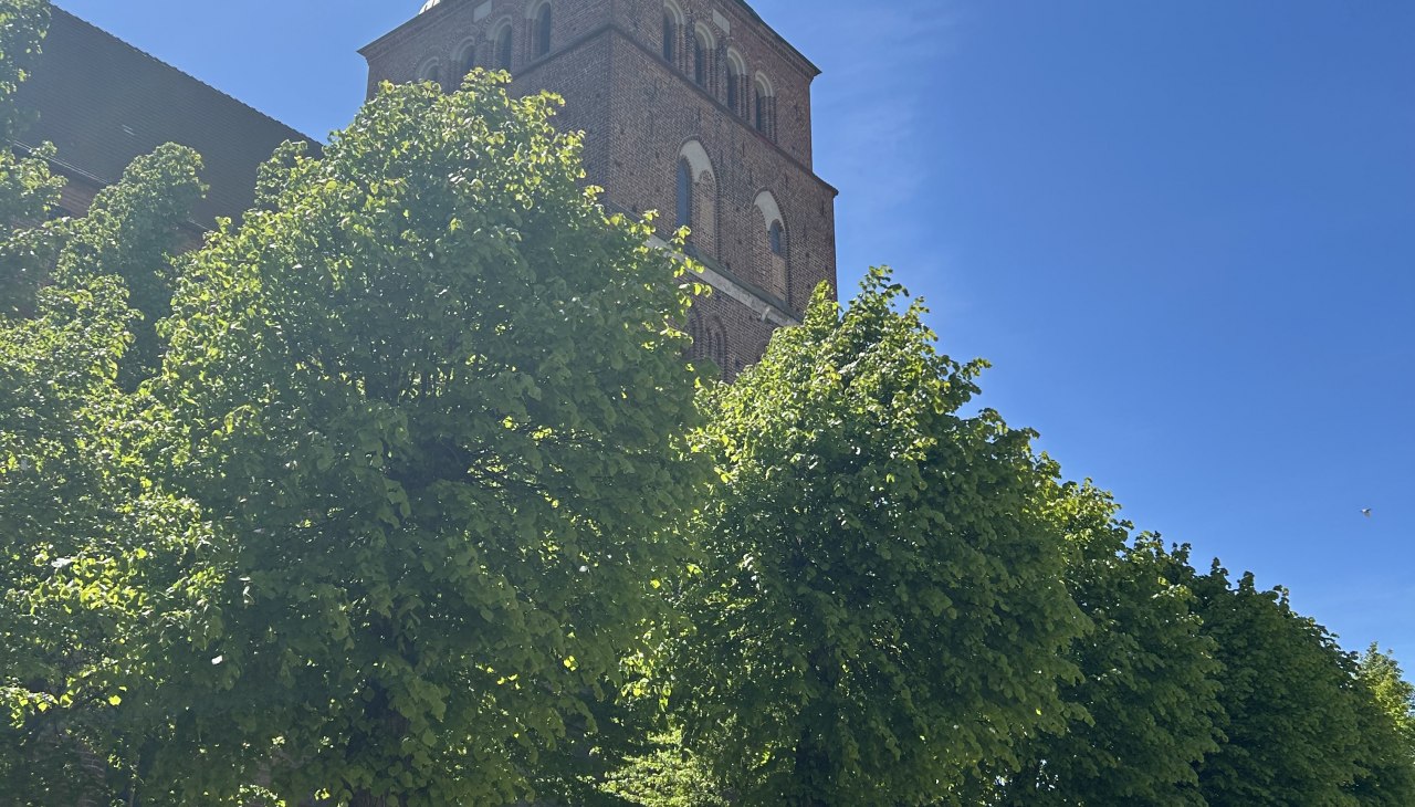 Die St. Johanniskirche zu Malchin, © Gina Schulenberg Die St. Johanniskirche zu Malchin, © Gina Schulenberg
