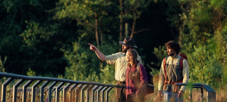 &copy; Felix Gaensicke