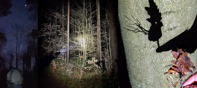 &copy; Britta Daedelow