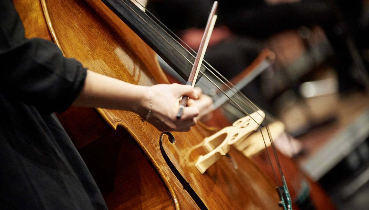 Mirco Dalchow, © Mirco Dalchow Mirco Dalchow, © Mirco Dalchow