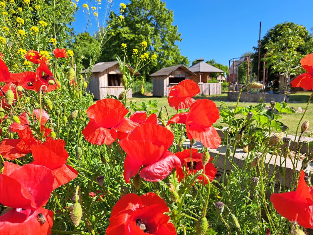Hofansicht mit den urigen H&uuml;tten, &copy; Sabrina Brodoch