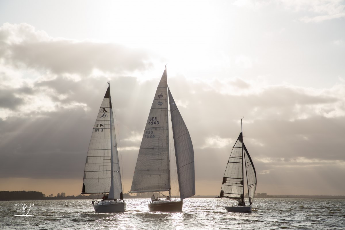 &copy; Arndt Gl&auml;ser