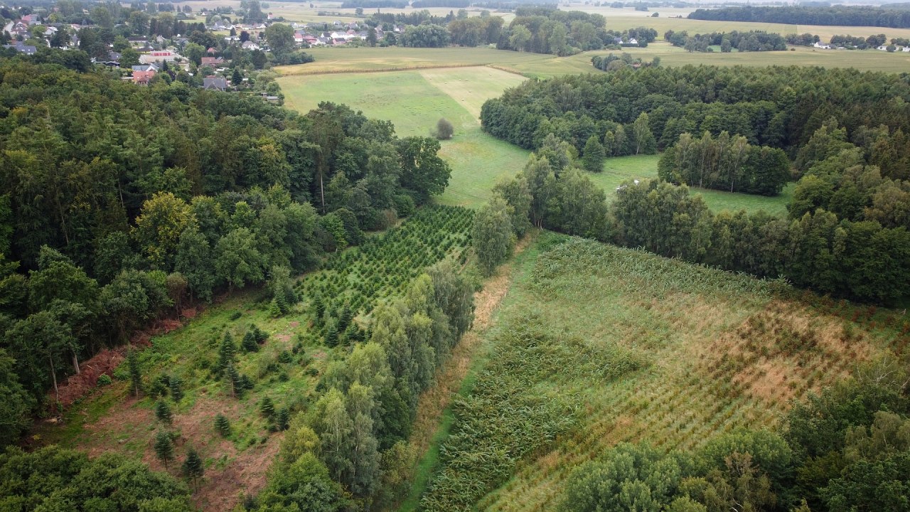 Klimaatbos Sehlen // &copy; Landesforst MV