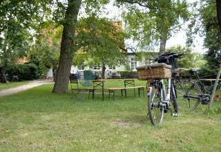 Blick in den schattigen Biergarten // &copy; Niekrenz