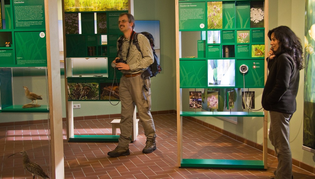 Ausstellung zu verschiedenen Lebensraumtypen des Naturparks im Besucherinformationszentrum, &copy; U.Steinh&auml;user