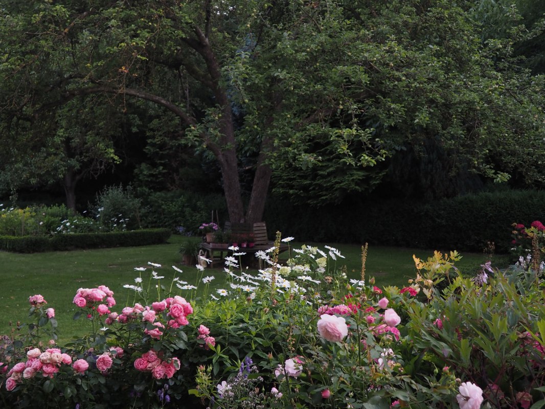 Baumbank und Beete am alten Apfelbaum // © Annelie Maiwald Baumbank und Beete am alten Apfelbaum // © Annelie Maiwald