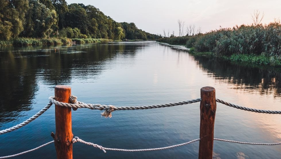 Die Ruhe der Natur an der Reling des Floßes genießen // © MV-T/WorldonaBudget Die Ruhe der Natur an der Reling des Floßes genießen // © MV-T/WorldonaBudget