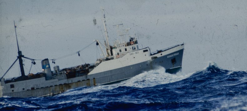 &copy; @ Joachim Blumenthal