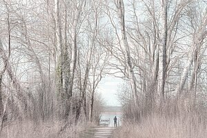 &copy; Brita Hilgendorf