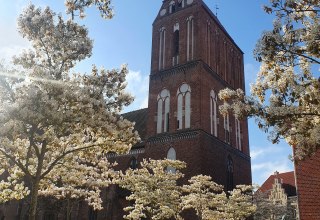 &copy; G&uuml;strow-Information