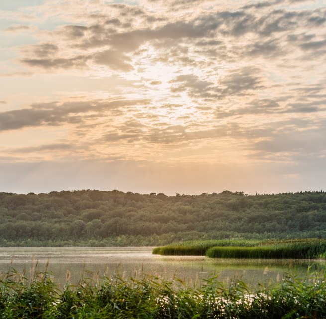 &copy; Binzer Bucht Tourismus