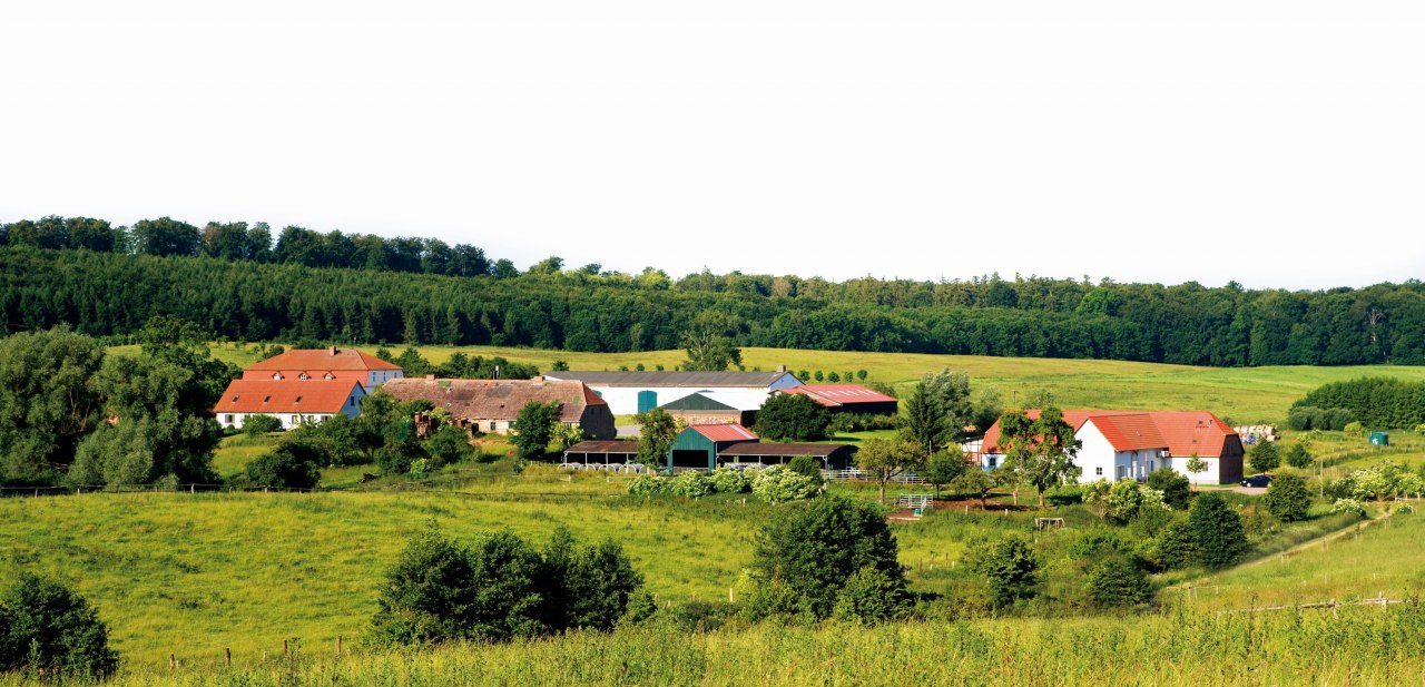 Het landgoed en de Gourmet Manufaktur in Klepelshagen genesteld in het landschap van de Brohmer Berge // &copy; Gourmet Manufaktur Gut Klepelshagen