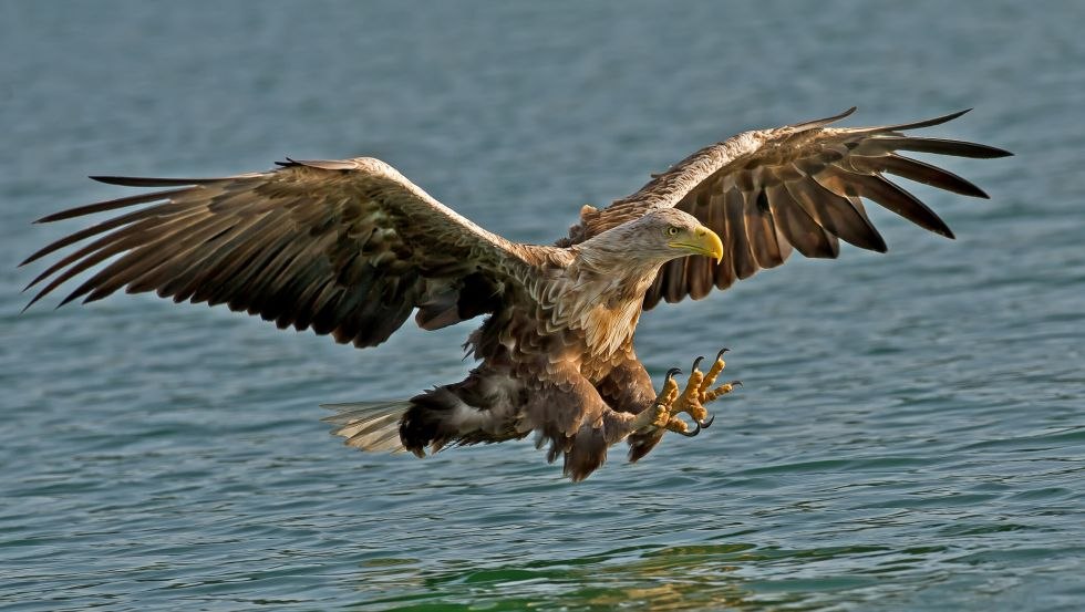 Ein Paradies für Wildtierfotografen und Filmemacher // © Helmut Mittelstädt Ein Paradies für Wildtierfotografen und Filmemacher // © Helmut Mittelstädt