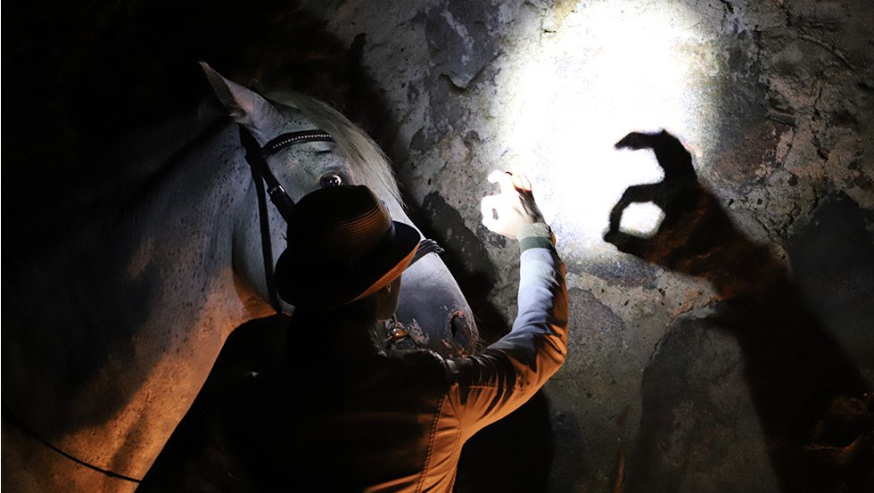 Schattenspiel im Pferdetheater, &copy; Pferdetheater/Detlef Witt