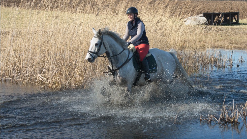 Ritjes in de natuur en plezier zijn voorgeprogrammeerd bij Rodenbergs // &copy; Reitanlage Rodenberg