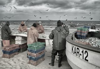 &copy; Die Usedomer Fischer.jpg