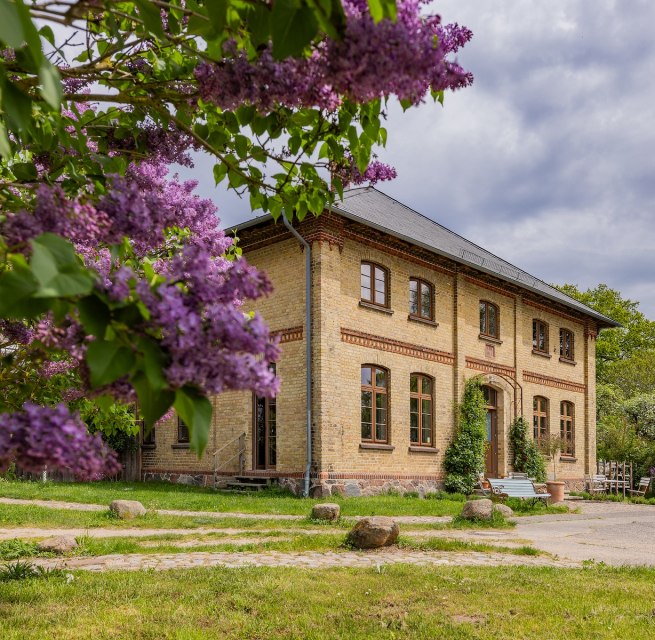 Gutshaus Lexow mit bl&uuml;hendem Flieder im Vordergrund und historischer Backsteinfassade.