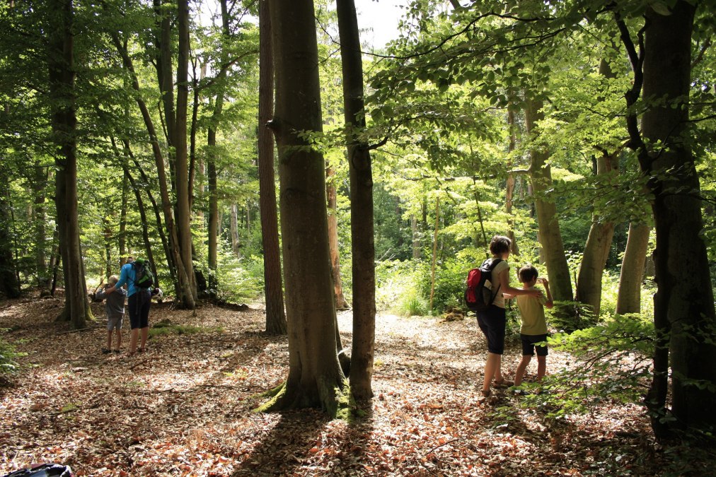Der Natur auf der Spur, © NPA Vorpommern