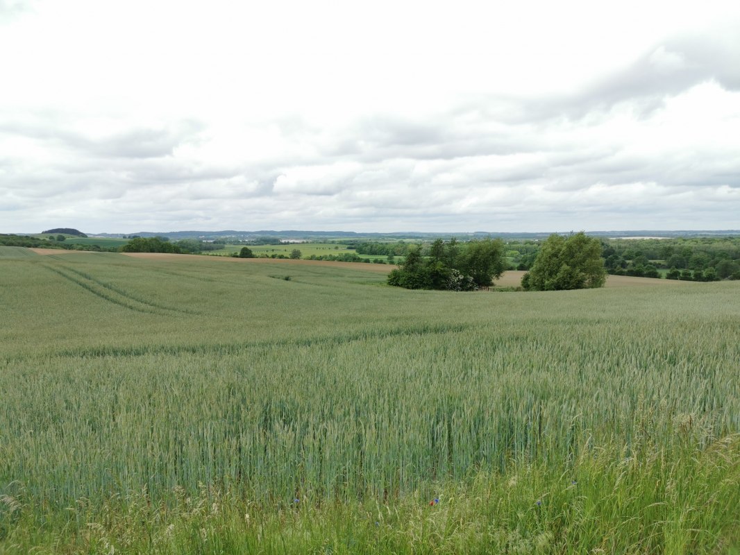 Uitzicht vanaf de barbecueplaats in Pohnstorf // &copy; E-Bike MV