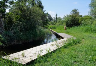 Einfahrt zum Anleger aus Sicht der Recknitz // © Tourismusverein Vogelparkregion Recknitztal e.V. Einfahrt zum Anleger aus Sicht der Recknitz // © Tourismusverein Vogelparkregion Recknitztal e.V.