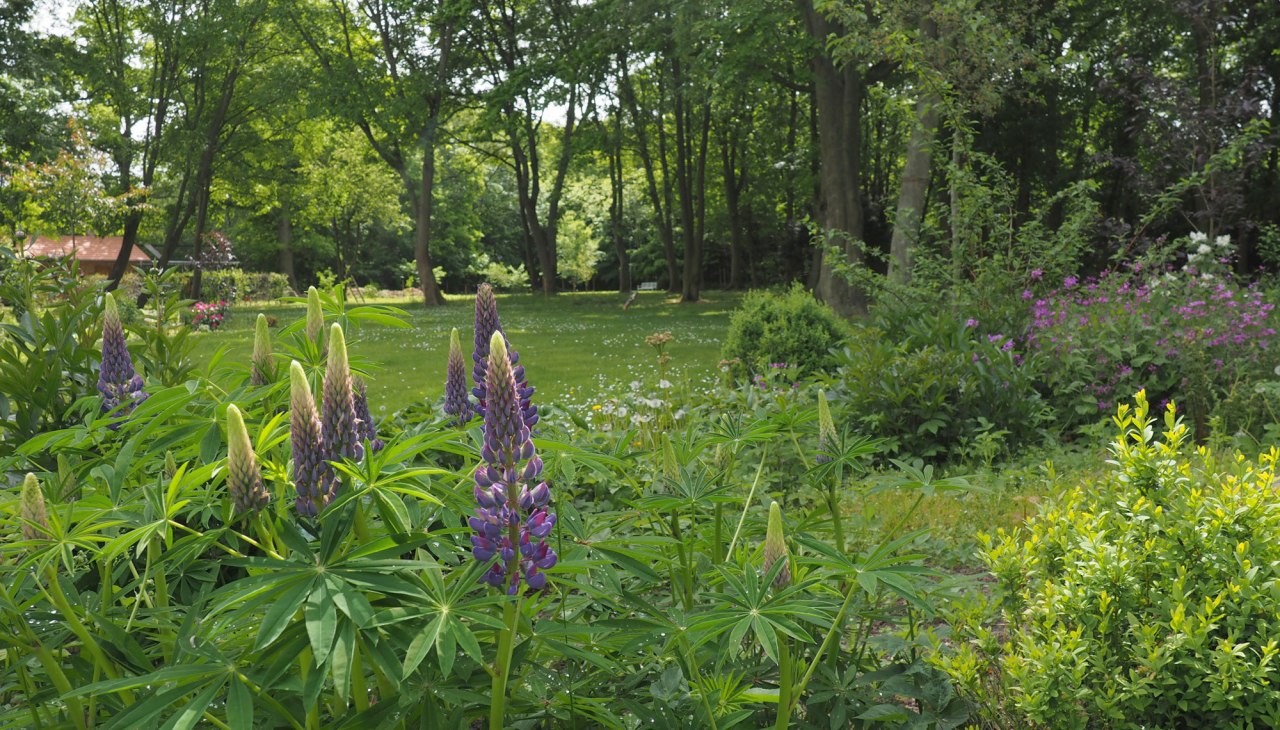 Blick in den Park, &copy; Annelie Maiwald
