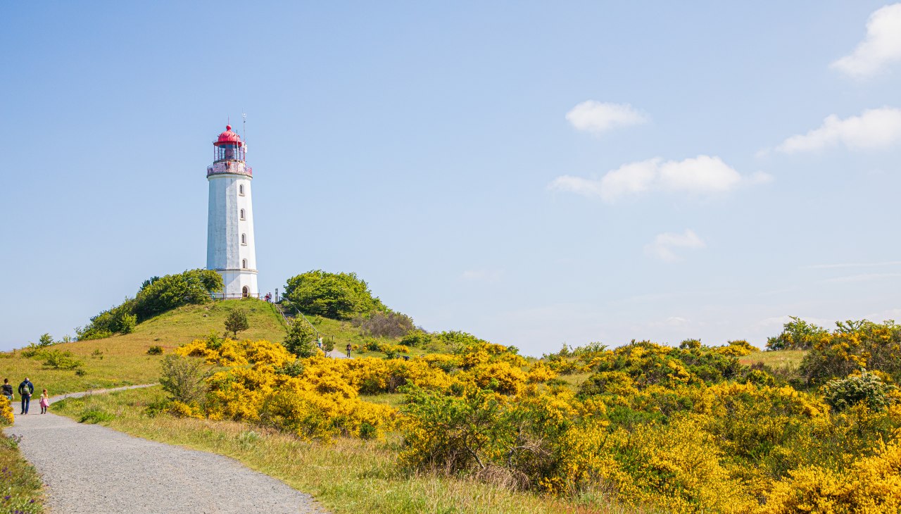 Erleben Sie die Insel Hiddensee bei einem Tagesausflug ab Stralsund., &copy; Wei&szlig;e Flotte GmbH