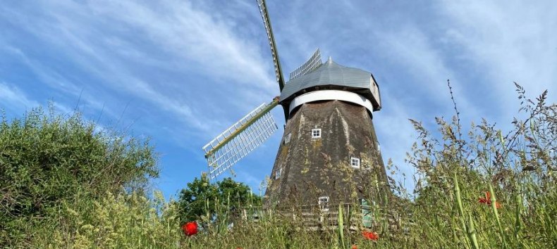 &copy; S.B&ouml;hler