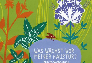 Kr&auml;uter // &copy; mittelhof