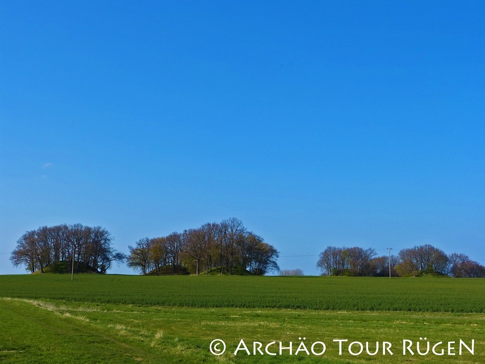 Zicht op de "Woorker Berge" grafheuvels // &copy; Arch&auml;o Tour R&uuml;gen