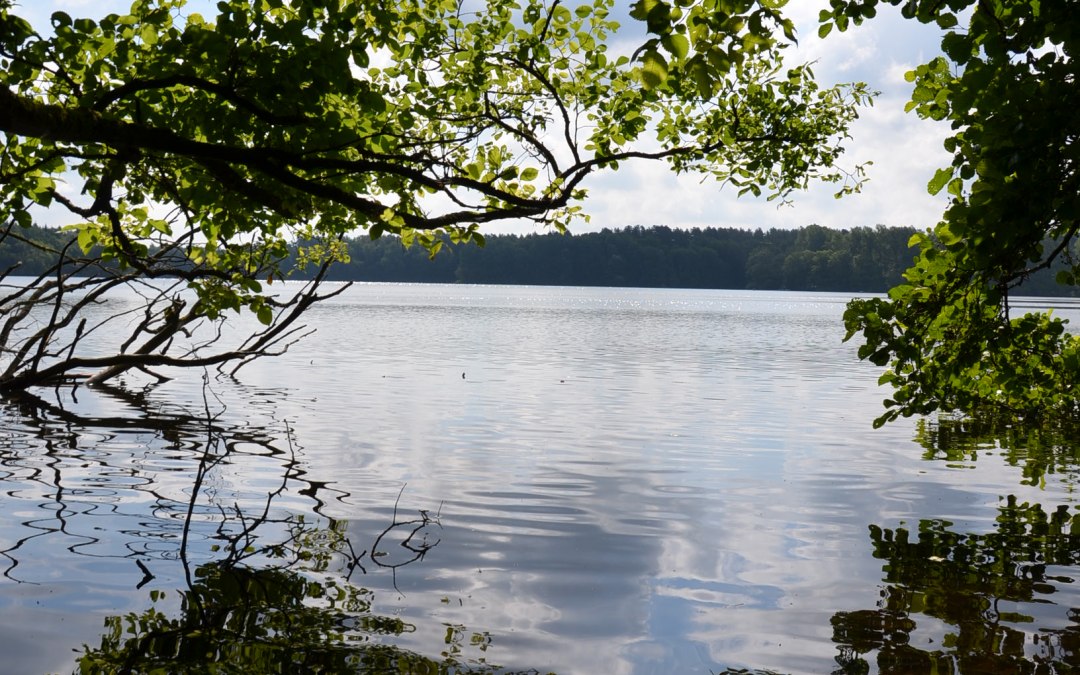 &copy; Kurverwaltung Feldberg