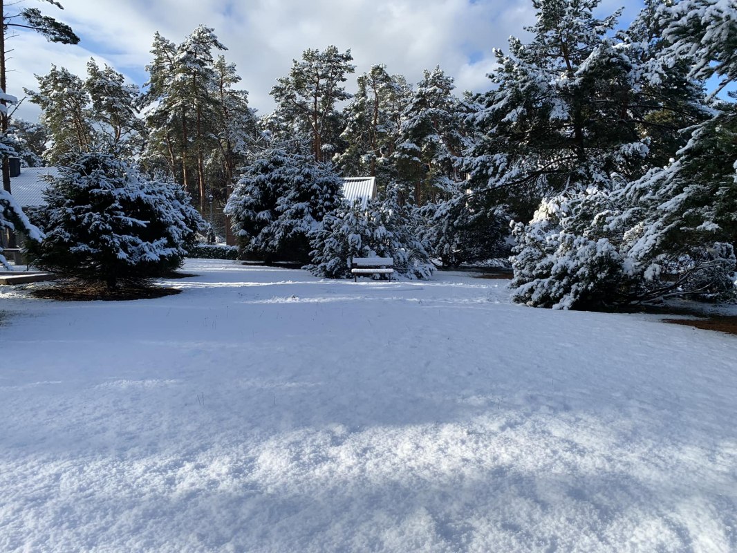 © Ferienpark Buntspecht © Ferienpark Buntspecht