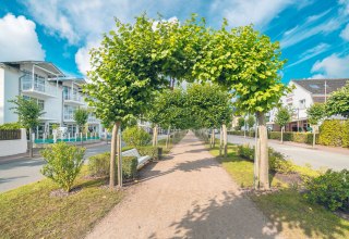 © Kurverwaltung Ostseebad Baabe © Kurverwaltung Ostseebad Baabe