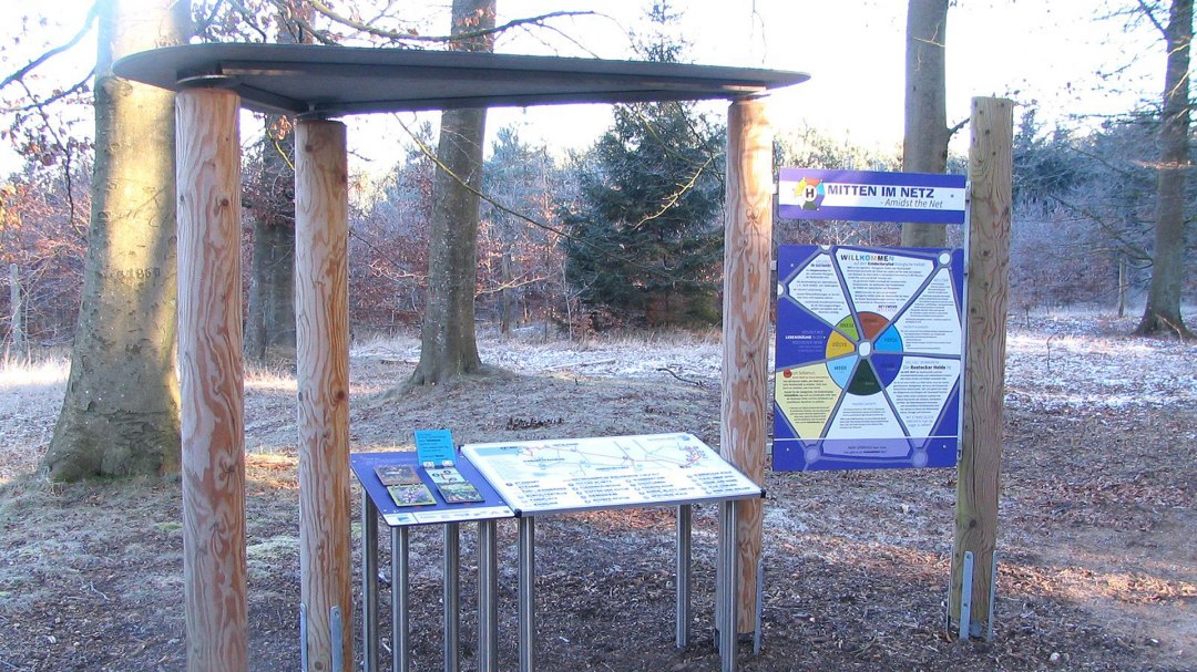 Entdecken, Forschen und Spielen in der Rostocker Heide, © Stadtforstamt Rostock/P. Kuhr Entdecken, Forschen und Spielen in der Rostocker Heide, © Stadtforstamt Rostock/P. Kuhr