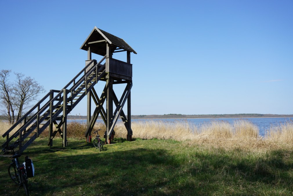 Aussichtsturm am Neuwarper See, © tvv-bock Aussichtsturm am Neuwarper See, © tvv-bock