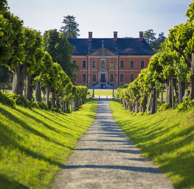 Festonallee zum Schloss Bothmer // &copy; SSGK MV / Timm Allrich