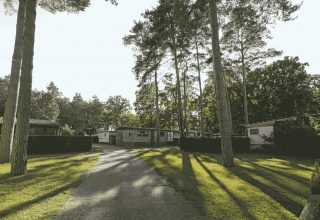 Weg zum Campingplatz // © MV-T/Gohlke Weg zum Campingplatz // © MV-T/Gohlke