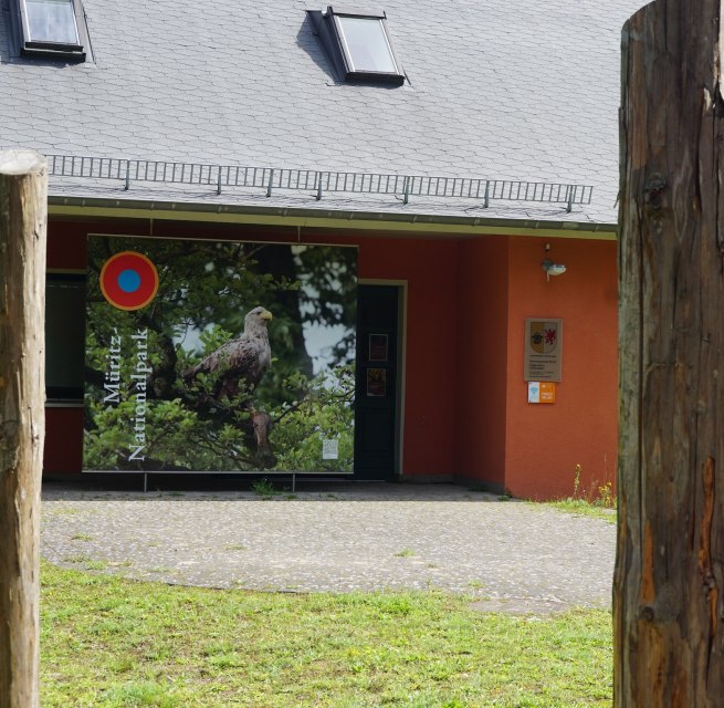 Ausstellung zu Vögeln und ihren Federn // © Wiebke Döbbert Ausstellung zu Vögeln und ihren Federn // © Wiebke Döbbert