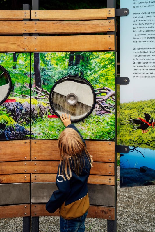 &copy; &copy; Nationalpark-Zentrum K&Ouml;NIGSSTUHL / Dan Petermann