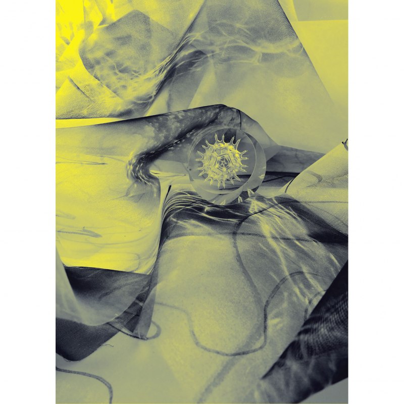 Collage, 2026 // © Anna Silberstein & Karen Kunkel Collage, 2026 // © Anna Silberstein & Karen Kunkel