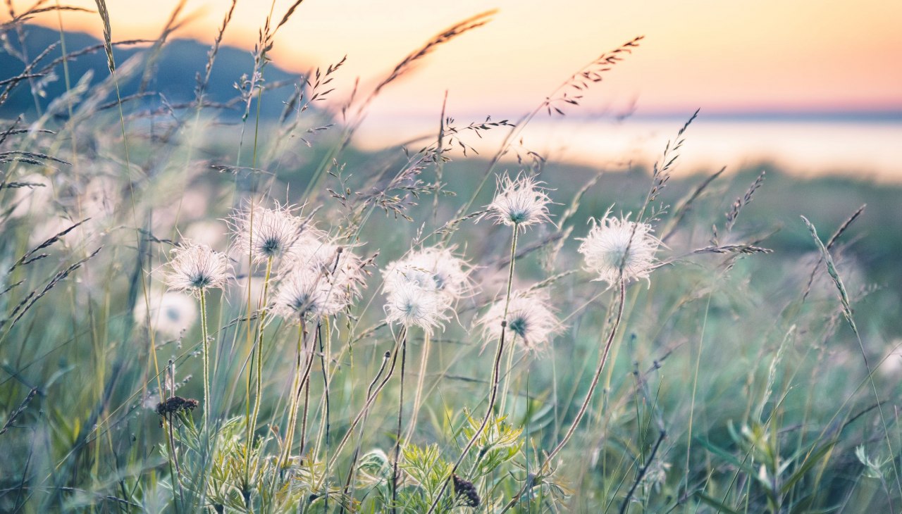 Kuhschellenwanderung