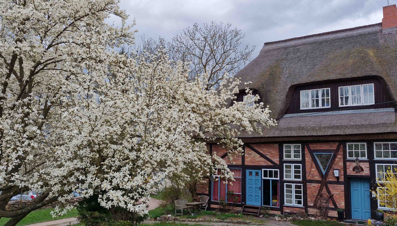 Pfarrhof Kessin, © Martin Goffing Pfarrhof Kessin, © Martin Goffing