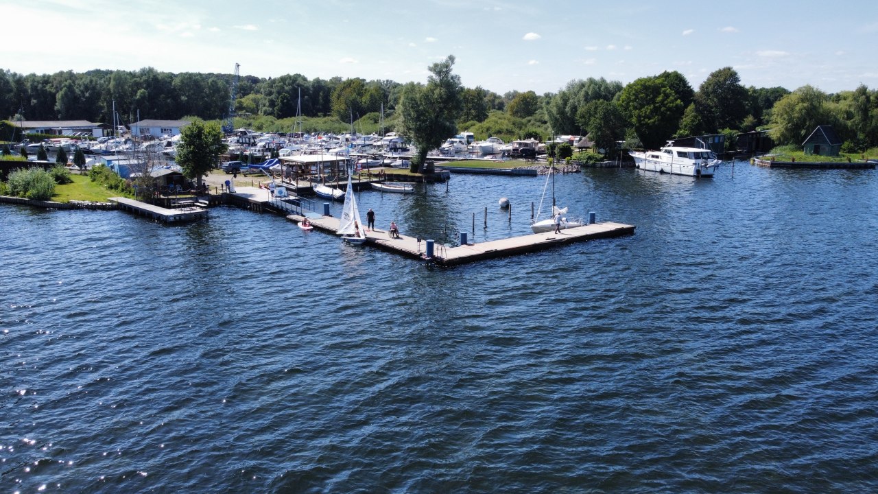 &copy; Plauer Hai-Live e. V.