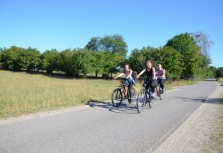 &copy; Kurverwaltung Feldberger Seenlandschaft