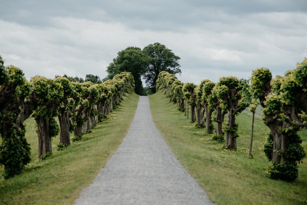 Feston-Allee vor dem Schloss Bothmer, © Fotowerker - Ganzer&Berg Feston-Allee vor dem Schloss Bothmer, © Fotowerker - Ganzer&Berg
