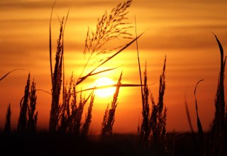 &copy; Nico Offermann