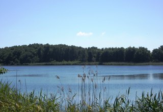 © 201547.jpg © 201547.jpg