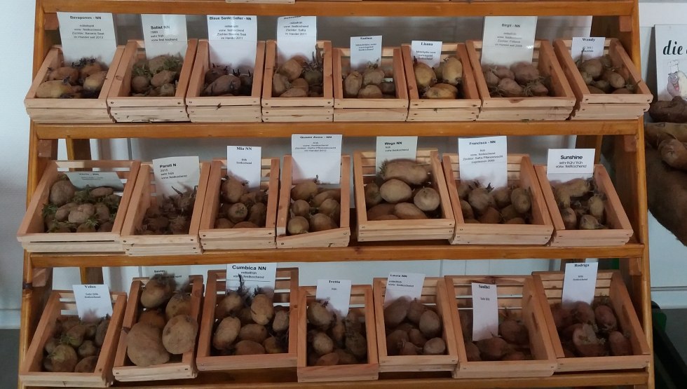 kartoffelsortiment, &copy; Martin Hagemann