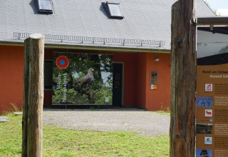 Ausstellung zu Vögeln und ihren Federn // © Wiebke Döbbert Ausstellung zu Vögeln und ihren Federn // © Wiebke Döbbert
