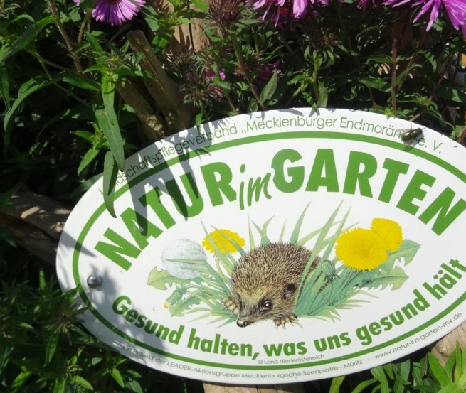 Der Garten im Gutshof Alt Guthendorf bei Marlow beteiligt sich an der Aktion der Naturg&auml;rten &bdquo;Offene Gartent&uuml;r&ldquo; // &copy; Renate Topp